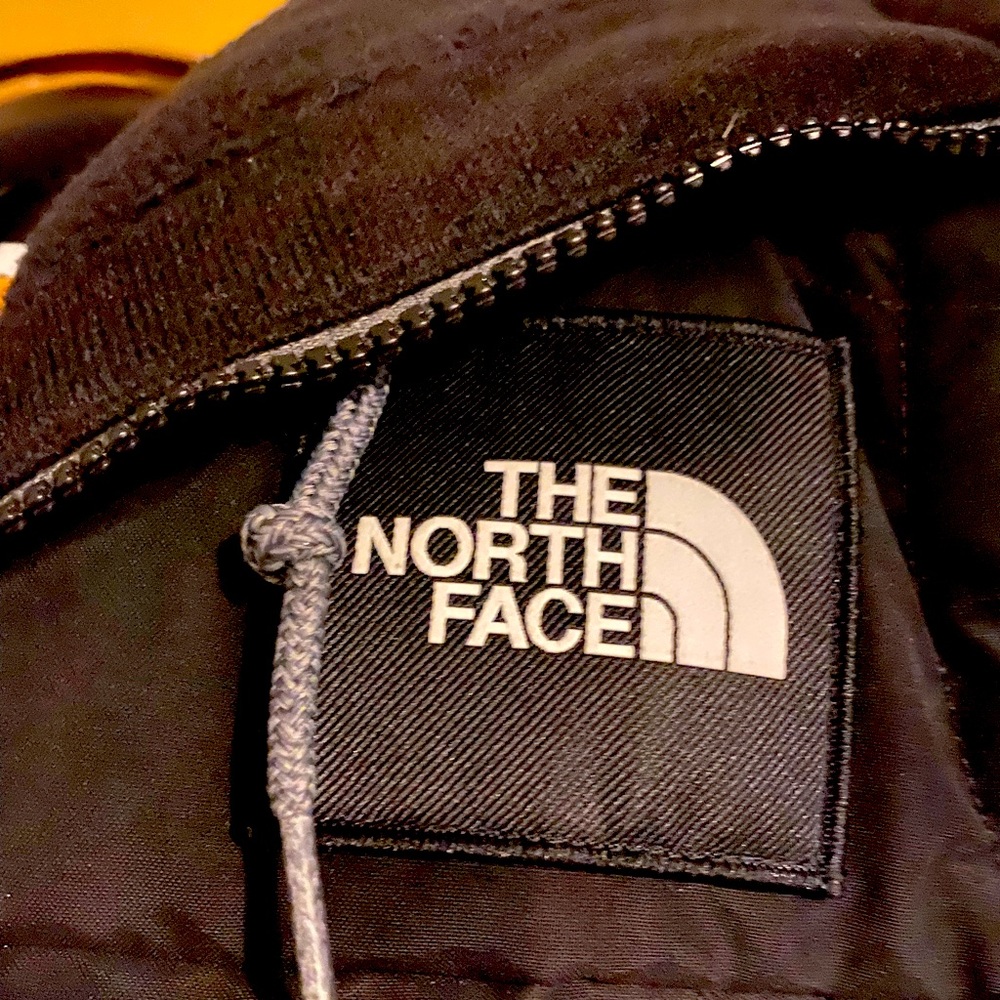 The North Face Vest